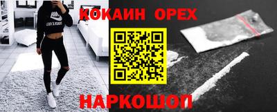 шишки Кандалакша
