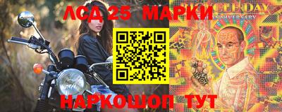 шишки Кандалакша