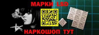 шишки Кандалакша