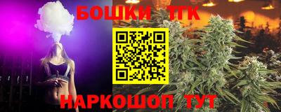 шишки Кандалакша