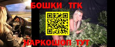 шишки Кандалакша
