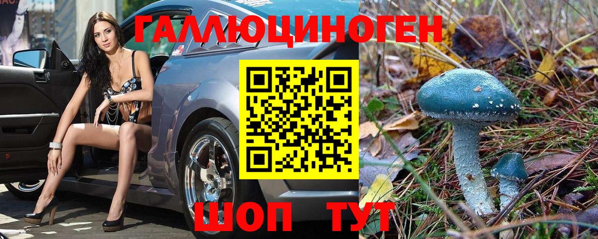 Псилоцибиновые грибы MAGIC MUSHROOMS  Вход с VPN  Усолье-Сибирское 