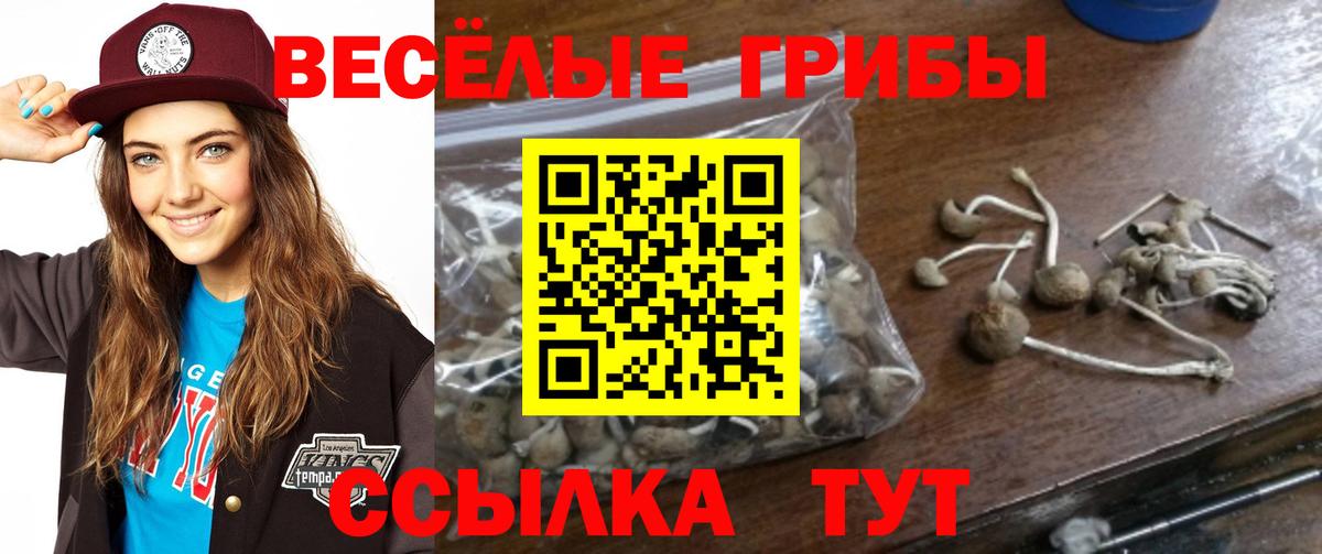 Псилоцибиновые грибы Magic Shrooms Усолье-Сибирское